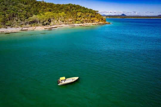 Noosa ocean tour & Dolphin safari. Family specials