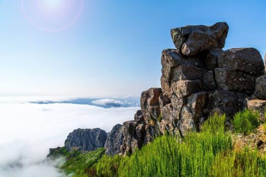 Enchanting East Madeira Tour from Funchal, Caniço or Santa Cruz
