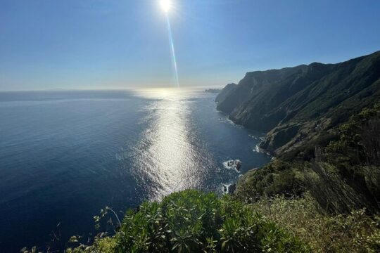 Madeira Half Day Tour / Day Tour Madeira / Private