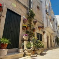 Shore Excursions