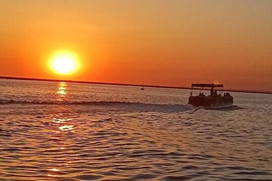 Sunset Tour | Ria Formosa - From Faro