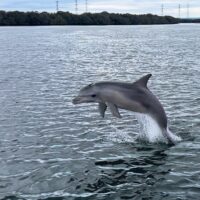 Cruises, Sailing & Water Tours