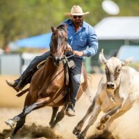 Horseback Riding