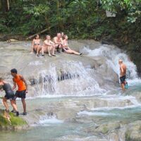 Bus & Minivan Tours