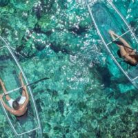 Glass Bottom Boat Tours