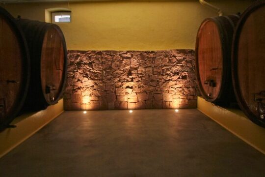 Visit and tasting of wines and cheese and charcuterie platter