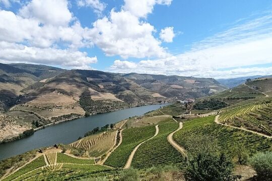 Day tour from Porto to Douro Valley, 2 Winery`s, Lunch & Boat