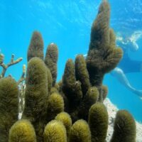 Sustainable Tours