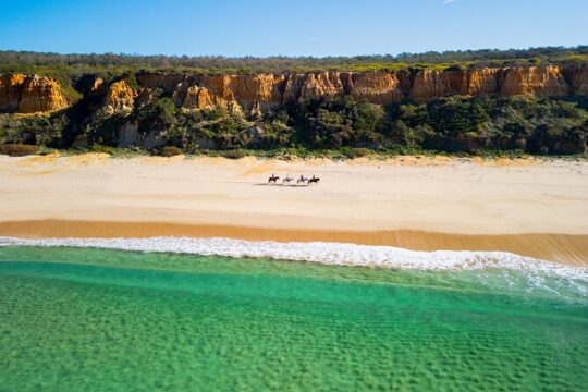 Horseback riding on the beach with lunch (4-5 hours)