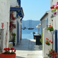 Walking & Biking Tours