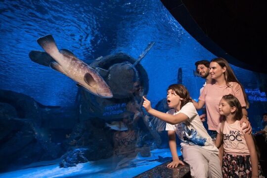 Antalya Aquarium with Entrance and Roundtrip Transfer from Alanya