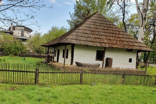 Bucharest Private Tour with Dracula's Grave and Ceaușescu Mansion