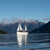 Cruises, Sailing & Water Tours