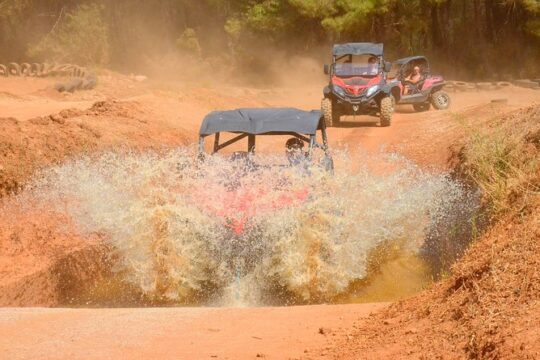 Buggy Safari