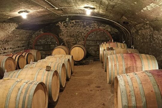 Guided Day of the Beaujolais Cellars with Tasting