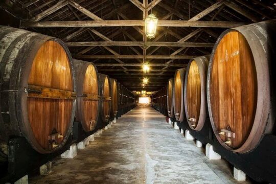 South Portugal Wine Route Private Full Day Tour from Lisbon
