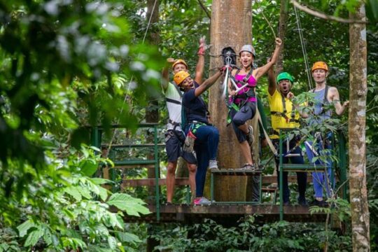 Saint Lucia Private Zipline and Shopping Adventure