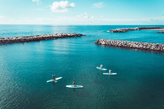 Stand Up Paddle Private Lesson in Calheta Beach