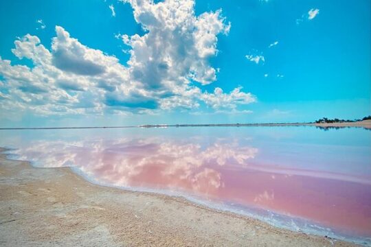 Tour of the Coloradas Yucatan and Cenote from Valladolid