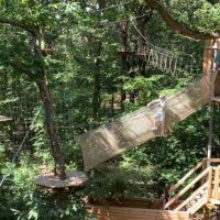 Ziplines