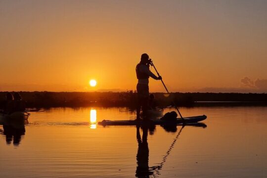 Sunrise Paddel Board Bacalar