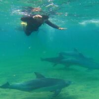 Cruises, Sailing & Water Tours