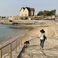 Tours & Sightseeing