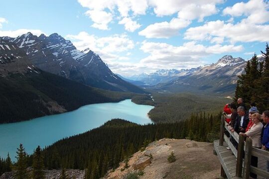 Western Trails - One Way Vancouver To Calgary Rockies Bus Tour