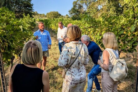 Small-group Vienna Wine Tour