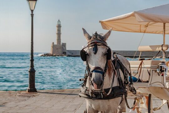 Chania, Kournas and Rethymno from Heraklion Private Tour