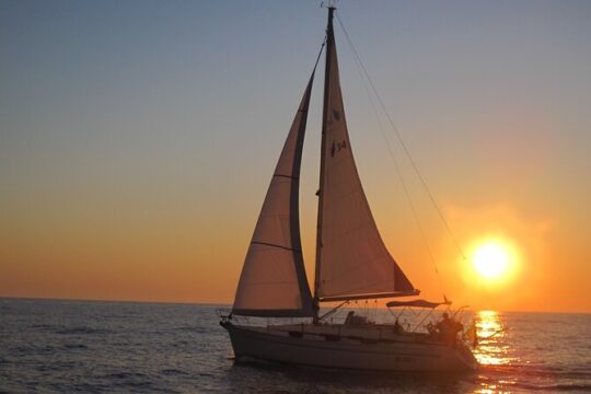 Bari sailing cruise in search of dolphins