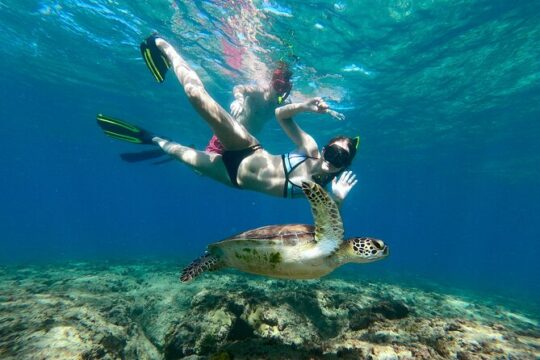 Snorkeling Adventure in Aguadilla