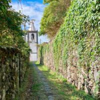 Walking & Biking Tours