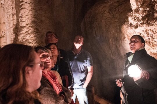 Glow Worm Caves Express Tour in Bay of Islands