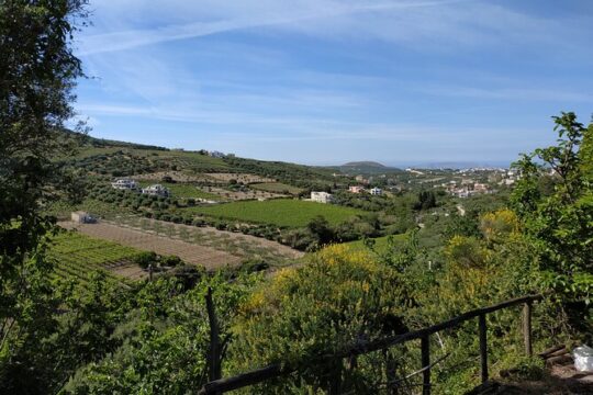 E-bike-Olive oil tasting & Wine tasting-old villages