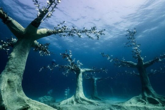 Musan Underwater Park Adventure Dive Discover Scuba Diving