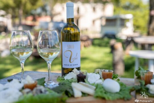 Private Cheese Tasting Experience in Amatrice