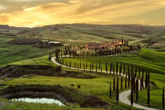 Guided tour in wonderful Tuscany