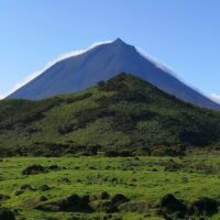 Cruises, Sailing & Water Tours