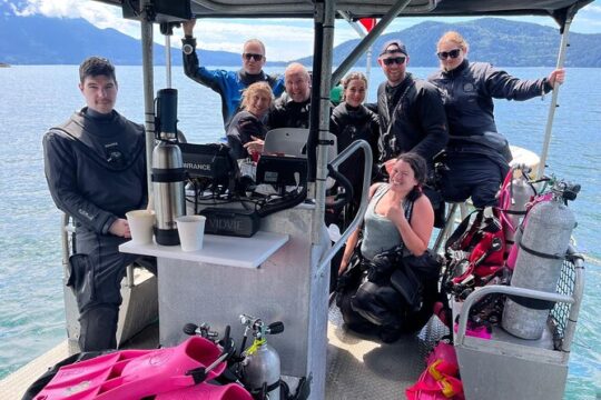 Snorkeling with Seals Paddling Sightseeing Boat Tour in Vancouver