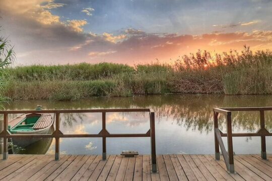 Albufera Natural Park with a Boat Tour from Valencia