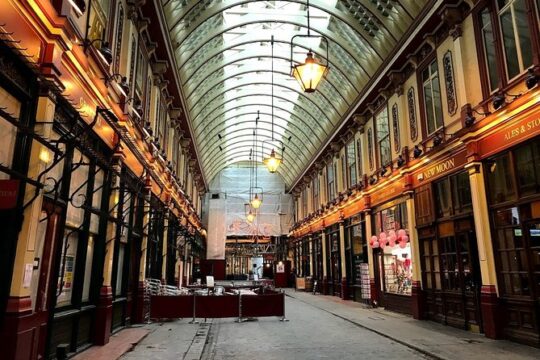 Harry Potter's 8-Day Private English Course and London Tour