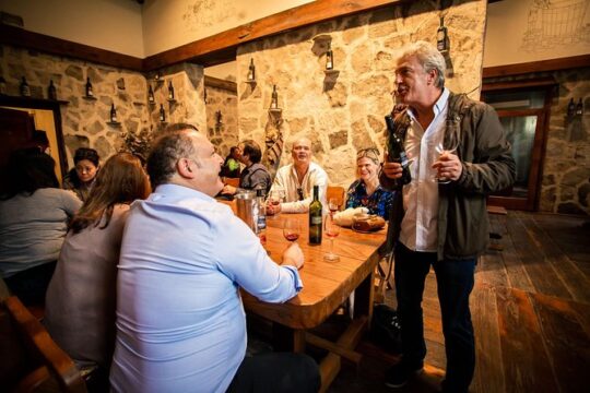 Konavle Wine& History&food Tour