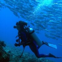 Scuba Diving