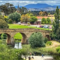 Half-day Tours