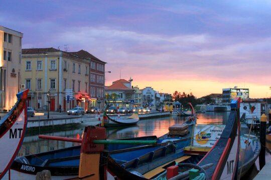 Aveiro and Coimbra Day Trip from Porto