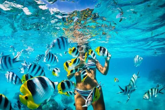 Excursion to Catalina Island and Snorkeling from Punta Cana
