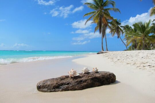 Private Saona Island Catamaran Tour from Punta Cana