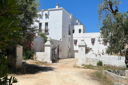 Tour of the Masseria Manfredi oil mill with tasting