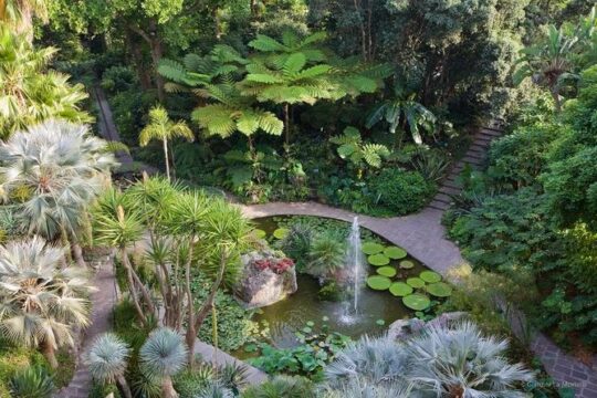 Ischia and La Mortella Gardens